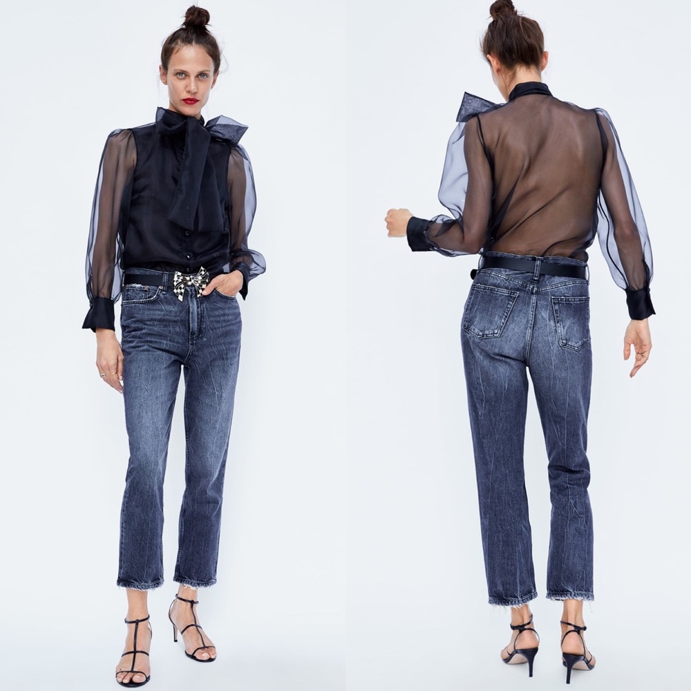 ZARA Semi Sheer Blouse with Tied Bow - Picture 6 of 8